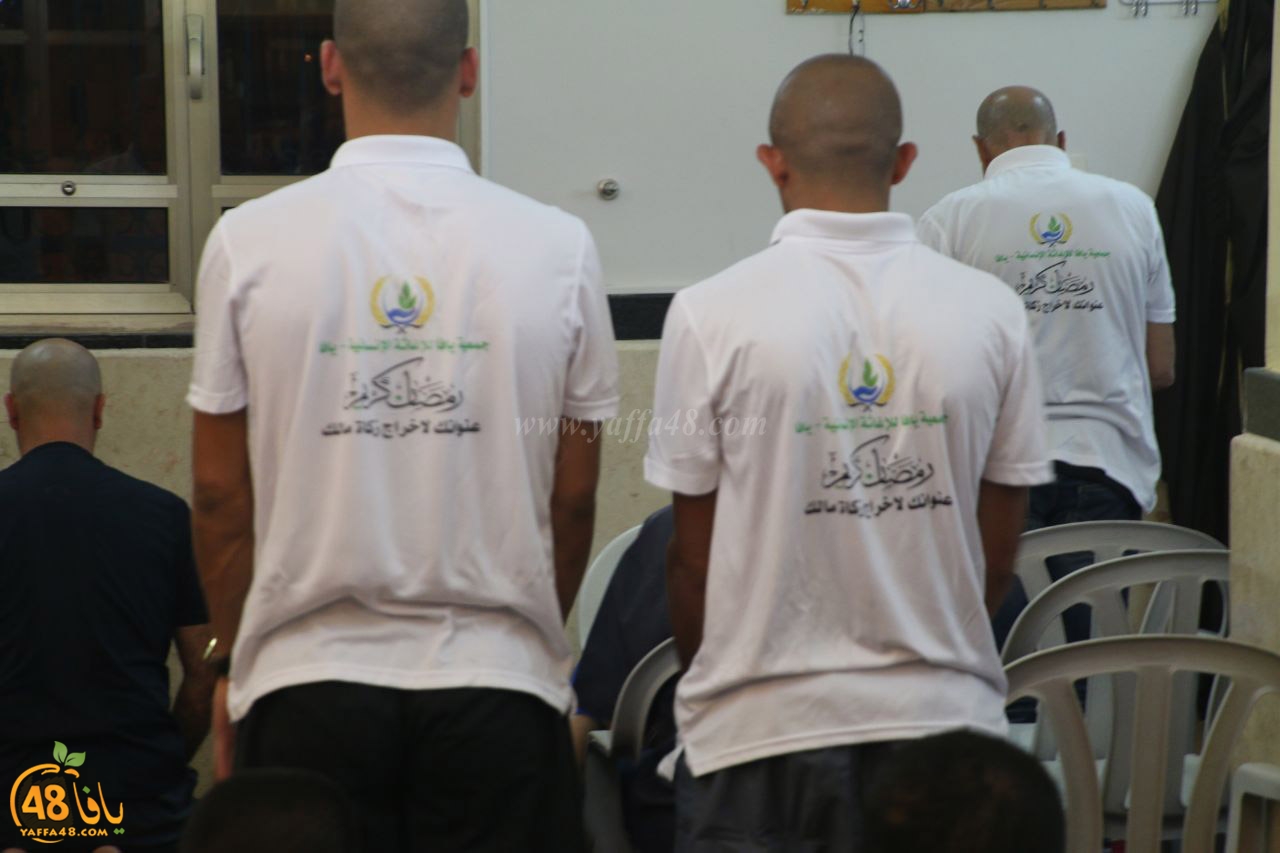 qomsan jami3yaia (12).jpg